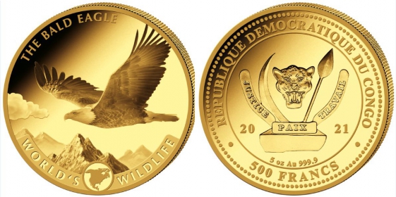 Kongo - 2021 - Weißkopfseeadler - 500 Francs - 5 Unzen - PP