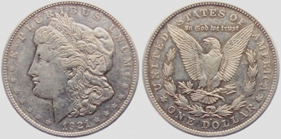 USA - 1921 - Morgan - Dollar - f.vz