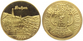 Haiger - ohne Jahr - Stadtansicht - Wappen Heiger - Haijer - st