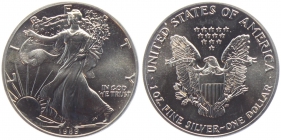 USA - 1989 - Silber Eagle - 1 Dollar - 1 Unze -  unc.