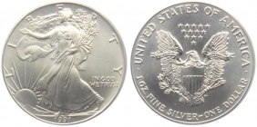 USA - 1991 - Silber Eagle - 1 Dollar - 1 Unze -  unc.