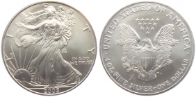 USA - 2005 - Silber Eagle - 1 Dollar - 1 Unze -  unc.