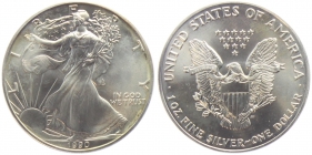 USA - 1990 - Silber Eagle - 1 Dollar - 1 Unze -  unc.