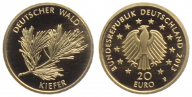 Deutschland - 2013 G - Deutscher Wald - Kiefer - 20 Euro - st