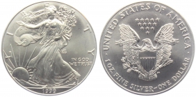 USA - 1999 - Silber Eagle - 1 Dollar -  1 Unze -  st