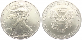 USA - 2004 - Silber Eagle - 1 Dollar -  1 Unze -  st