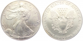 USA - 2001 - Silber Eagle - 1 Dollar -  1 Unze -  st