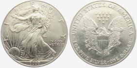 USA - 2000 - Silber Eagle - 1 Dollar -  1 Unze -  st