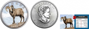 Kanada - 2021 - Maple Leaf - Dickhornschaf - 5 Dollars -st