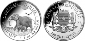 Somalia - 2022 - Elefant mit Jungtier - 100 Shillings - 1 Unze - st