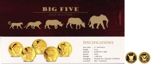 Kongo / Kamerun - 2013/18 - The Big Five - 5 x 100 Francs - PP