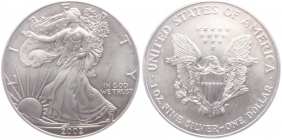 USA - 2002 - Silber Eagle - 1 Unze - st/Bu