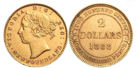 Neufundland - 1888 - 2 Dollars - Queen Victoria (1837-1901) - vz