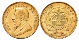 Südafrika - 1894 - Paul Krüger (1883-1902) - vz - AU 53 im Slab