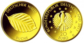 BRD - 2011 J - Deutscher Wald - Buche - 20 Euro - 1/8 Unze - st mit Echtheitszertifikat