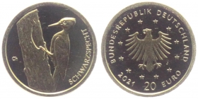BRD - 2021 J - Heimische Vögel - Schwarzspecht - 20 Euro - st in Kapsel mit Zertifikat