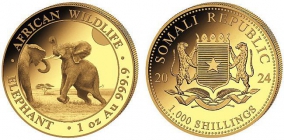 Somalia - 2024 - Elefanten - Tiere - Big Five - 1000 Shillings - PP