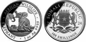 Somalia - 2024 - Elefanten - Tiere - Big Five - 100 Shillings - 1 Unze - st