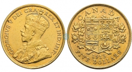 Kanada - 1913 - George V. (1910-1936) - 5 Dollars - gutes vz