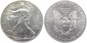 USA - 2011 - Silber Eagle - 1 Dollar - 1 Unze - st leichte Patina