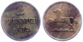Braunschweig-Wolfenbüttel - 1854 B - Wilhelm (1831-1884) - 2 Pfennig