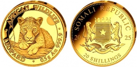 Somalia - 2025 Leopard - Tiere - 20 Shillings - PP