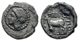 Griechenland - Thrakien-Argospotamoi - 4. Jh. BC - Hellas - Bronze - ss