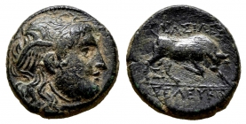 Griechenland - Seleukiden - 312-281 BC - Seleukos I. Nikator (312-281 v.Chr/ BC) - Bronze - ss-vz